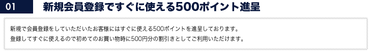 新規会員登録ですぐに使える500ポイント進呈